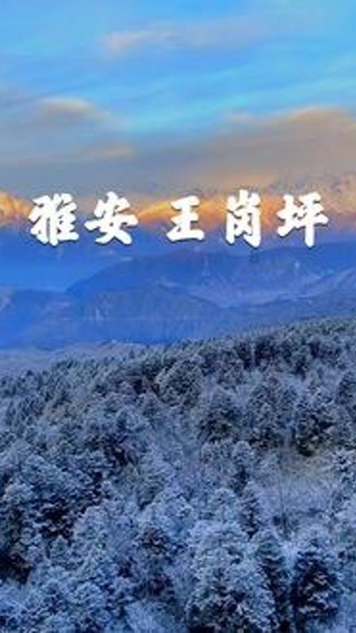 安培龙:公司光模块用金电极NTC芯片为自主研发技术